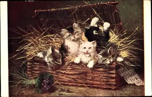 Künstler Ak Huber, Leon, Express fragile, Katzen in einem Weidenkorb
