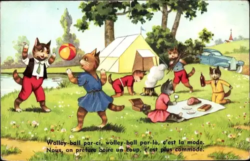 Ak Vermenschlichte Katzen beim Camping, Picknick