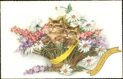 Ak St. Nicolas, Zwei Katzen in einem Blumenkorb