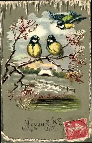 Präge Litho Glückwunsch Weihnachten, Meisen auf einem Ast, Vögel