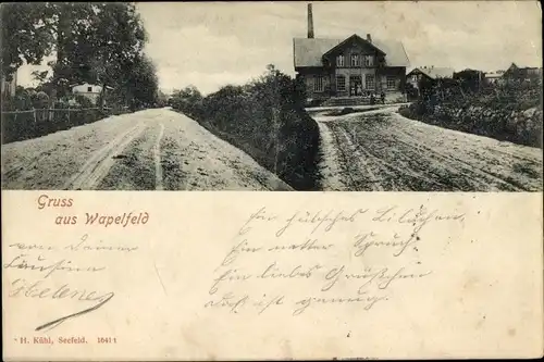Ak Wapelfeld in Schleswig Holstein, Ortsansichten