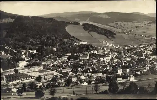 Ak Jeseník Frývaldov Freiwaldau Region Olmütz, Panorama