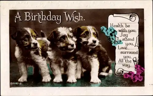 Präge Ak Glückwunsch Geburtstag, Drei kleine Hunde