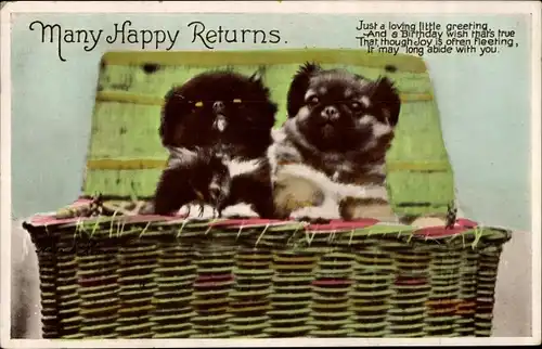 Ak Glückwunsch Geburtstag, Many happy returns, Hundewelpen in einem Korb