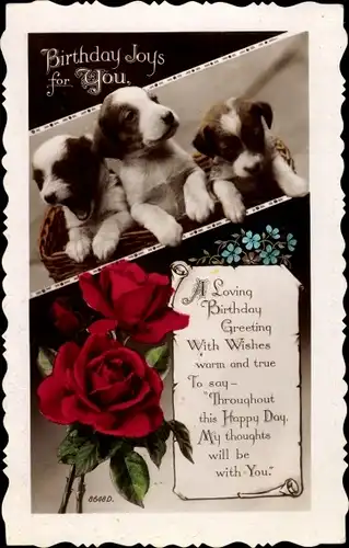 Ak Glückwunsch Geburtstag, Hundewelpen, Rosenblüten