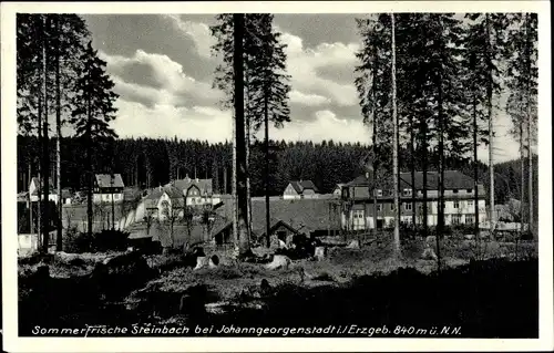 Ak Steinbach Johanngeorgenstadt im Erzgebirge, Teilansicht