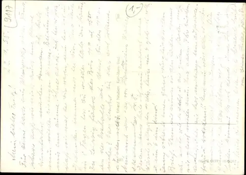 Ak Mühlau in Sachsen, Panorama