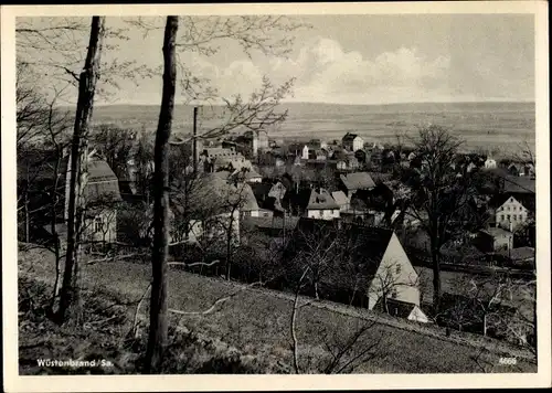 Ak Wüstenbrand Hohenstein Ernstthal, Gesamtansicht vom Berg aus gesehebn