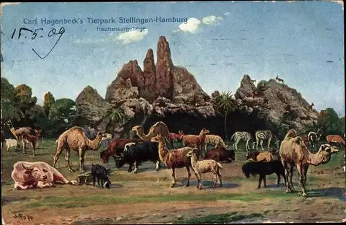 Künstler Ak Popp, J., Hamburg Eimsbüttel Stellingen, Carl Hagenbeck's Tierpark, Heufressergehege