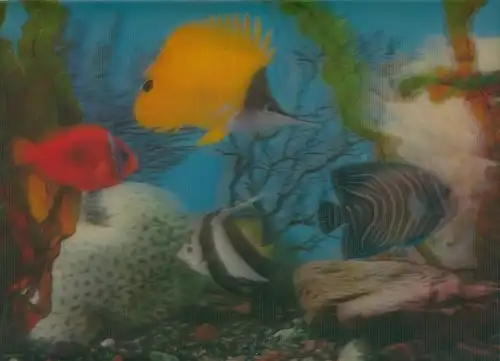 3D Ak Tropische Fische im Aquarium
