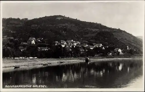 Ak Dolní Zálezly Salesel Elbe Region Aussig, Teilansicht, Uferpartie