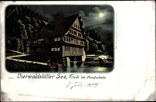 Mondschein Litho Treib Seelisberg Kanton Uri, Vierwaldstätter See bei Nacht