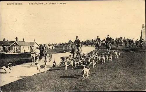 Ak Eastbourne East Sussex England, Foxhounds at Beachy Head