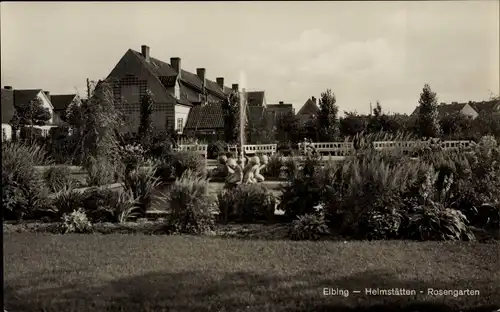 Ak Elbląg Elbing Westpreußen, Heimstätten, Rosengarten