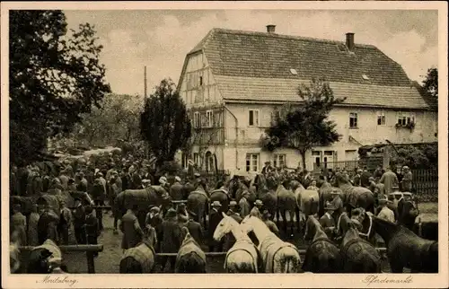 Ak Moritzburg in Sachsen, Pferdemarkt
