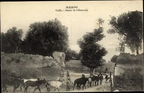 Ak Taza Marokko, Retour de l'Abreuvoir