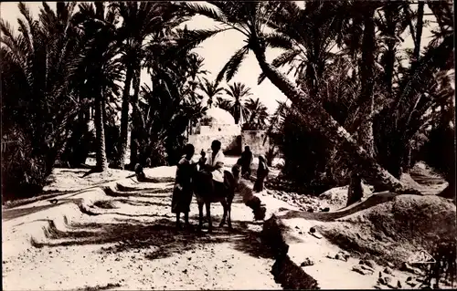 Ak Marabout dans l'Oasis, Maghreb, Esel, Palmen