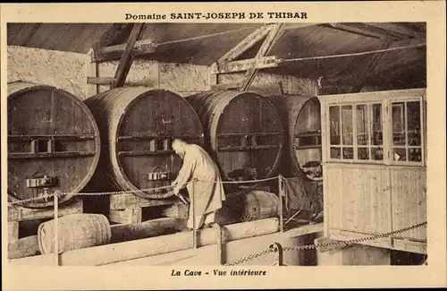 Ak Thibar Tunesien, Domaine Saint Joseph, La Cave, Vue interieure