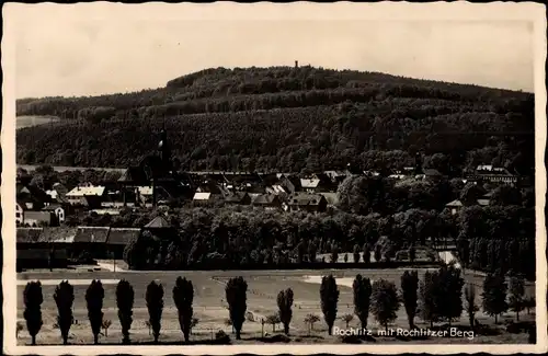 Ak Rochlitz in Sachsen, Panorama mit Rochlitzer Berg
