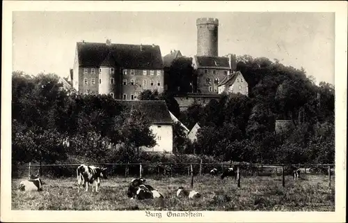 Ak Gnandstein Kohren Sahlis Frohburg in Sachsen, Burg, Kuhweide