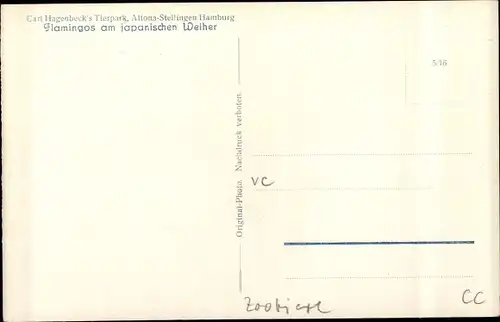 Ak Hamburg Eimsbüttel Stellingen, Carl Hagenbecks Tierpark, Flamingos am japanischen Weiher