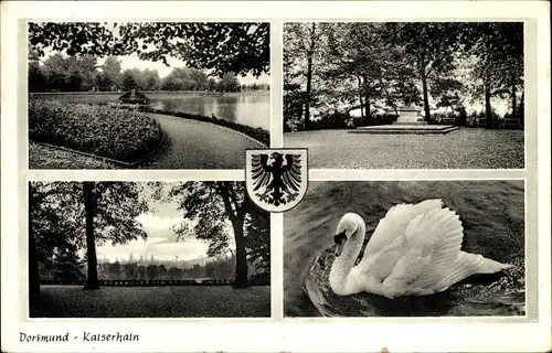 Ak Dortmund im Ruhrgebiet, Kaiserhain, Wappen, Schwan
