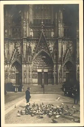 Ak Köln am Rhein, Dom-Partie, Domtauben