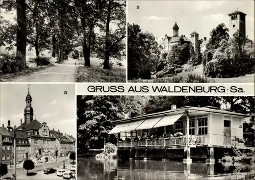 Ak Waldenburg in Sachsen, Eichenallee im Grünefelder Park, Schloss, Klinik, Rathaus