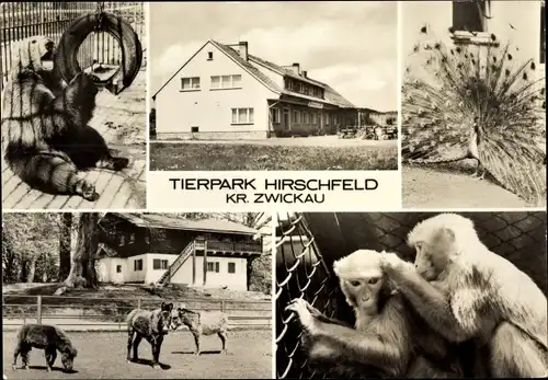 Ak Hirschfeld in Sachsen, Tierpark, Konsum-Gaststätte Bärenschenke