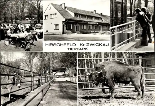 Ak Hirschfeld in Sachsen, Tierpark, Bison, Esel, Bärenschenke, Terrasse