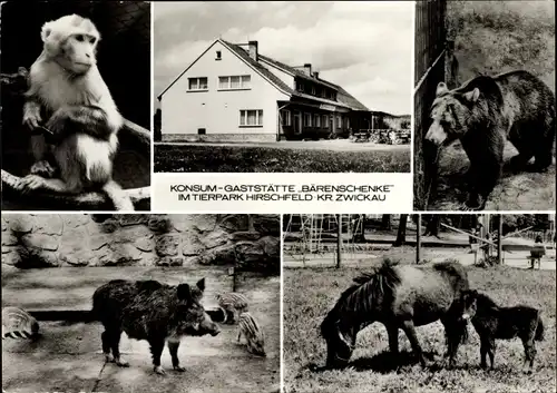 Ak Hirschfeld in Sachsen, Konsum-Gaststätte Bärenschenke, Tierpark, Affe, Wildschwein, Bär, Pony