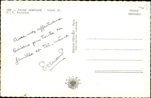 Ak Faune Africaine, Bildnis einer Giraffe