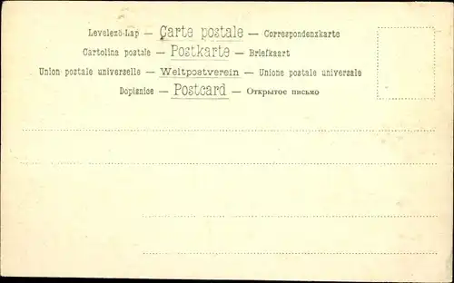 Ak Schwäne, Teich, Fauna, Tierwelt