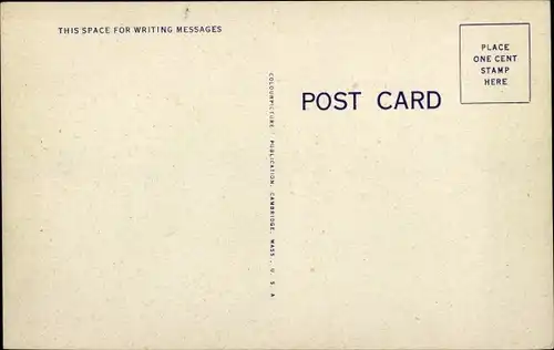 Ak Buffaloes in Texas, Tierwelt in Nordamerika