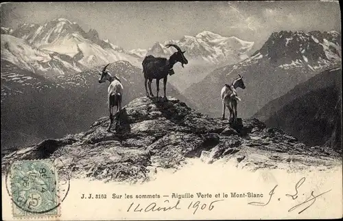 Ak Sur les sommets, Aiguille Verte et le Mont Blanc, Ziegen
