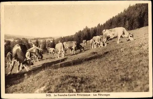 Ak La Franche Comte Pittoresque, Les Paturages, Kühe