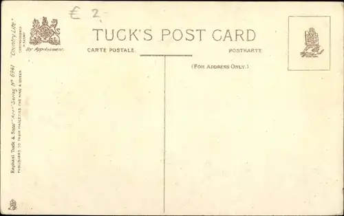 Ak Midst. Reeds und Rushes, Schwäne