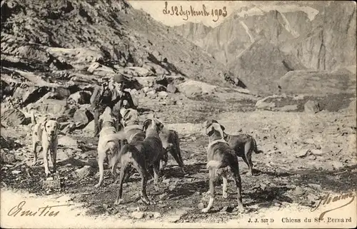 Ak Chiens du St. Bernard, Hunde, Berglandschaft