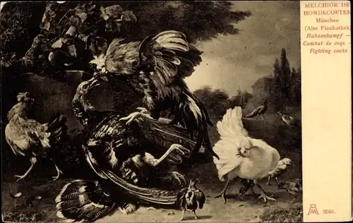 Künstler Ak Hondecoeter, M. de, Hahnenkampf