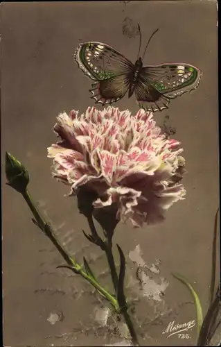 Ak Blühende Blume, Schmetterling