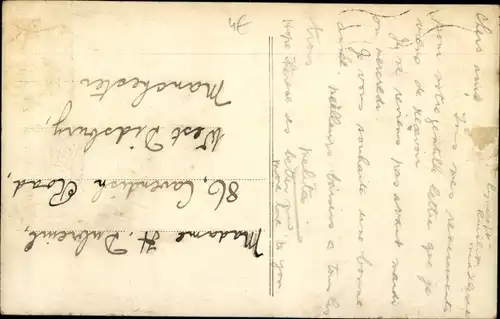 Ak Blühende Blume, Schmetterling