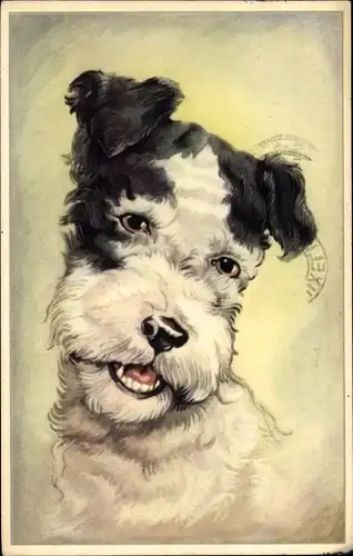 Ak Terrier, Hundportrait, Tierportrait