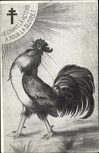 Ak Je Chante la Victoire a Nous la Glorie, Stolzer Hahn