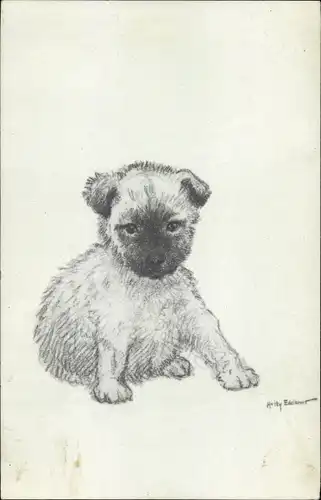 Künstler Ak Junger Hund, Welpe, Tierportrait