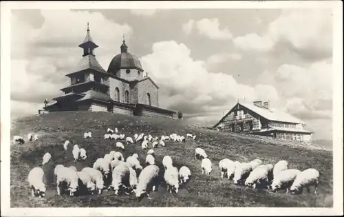 Ak Radhošť Radhoscht Region Pardubice, Kapelle, Schafherde