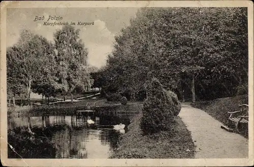Ak Polczyn Zdrój Bad Polzin Pommern, Karpfenteich im Kurpark