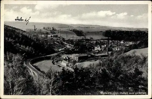 Ak Roßwein in Sachsen, Panorama