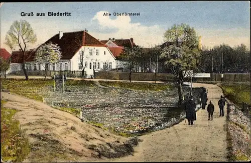 Ak Biederitz in Sachsen Anhalt, Alte Oberförsterei