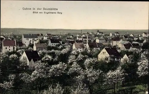Ak Guben in der Niederlausitz, Blick von Engelmanns Berg, Baumblüte