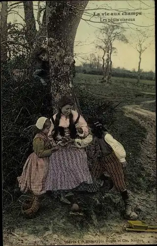 Ak La vie aux champs, les petits oiseaux